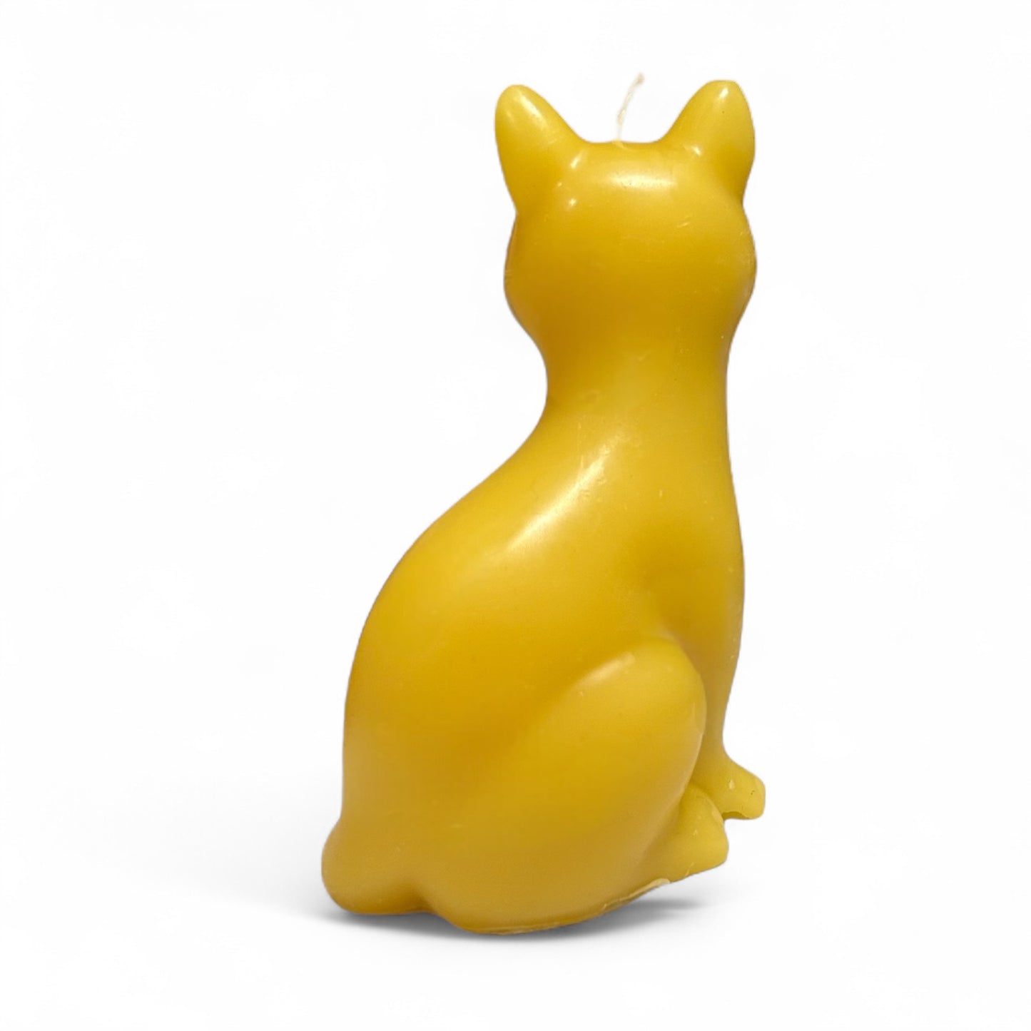 Katze als Bienenwachskerze