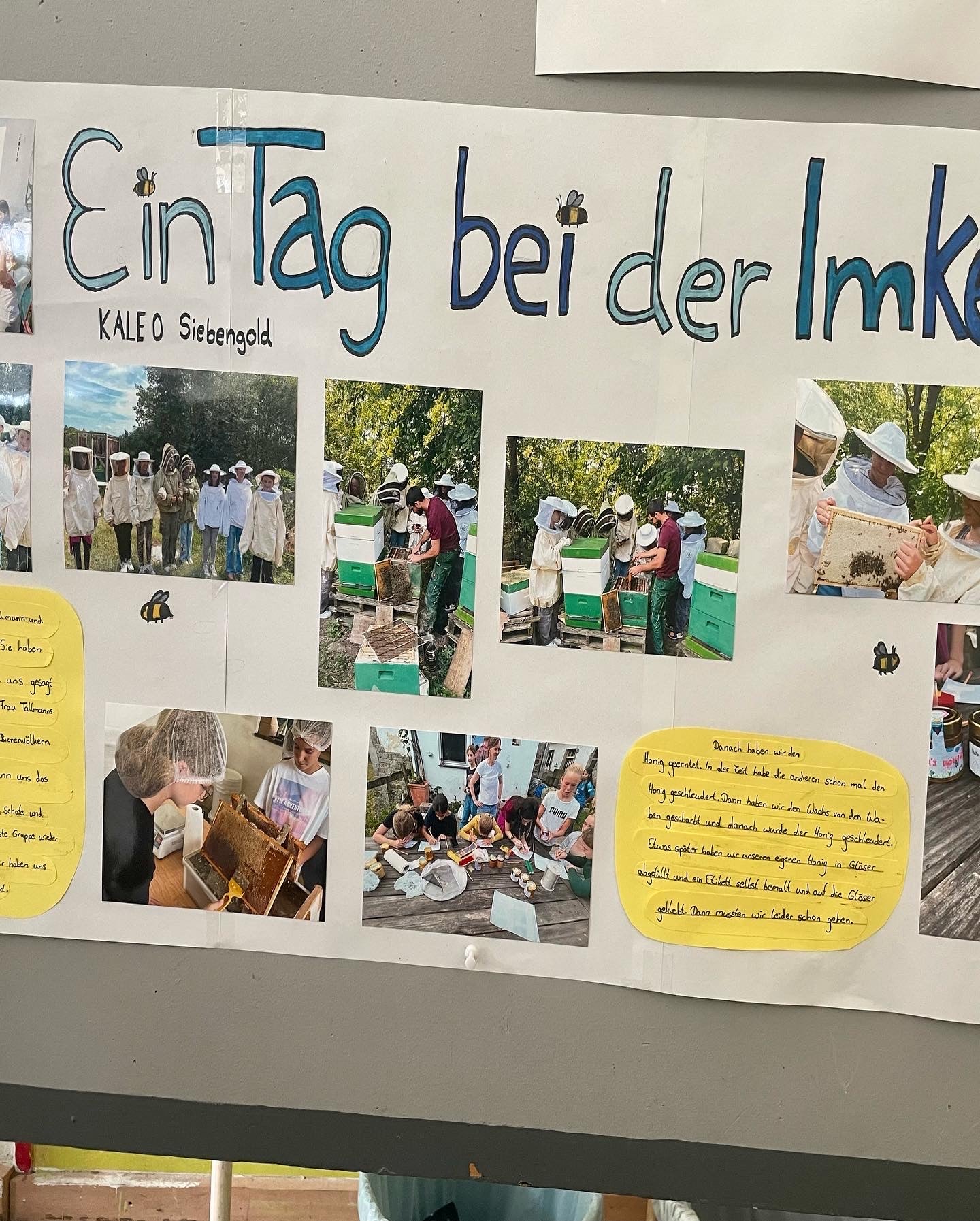 Kindergeburtstag in unserer Imkerei