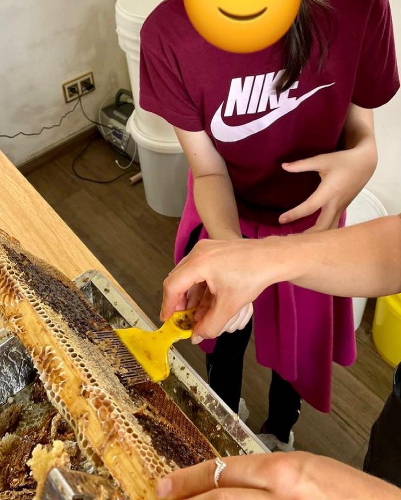 Kindergeburtstag in unserer Imkerei