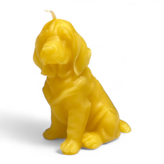 Hund „Beagle“ als Bienenwachskerze