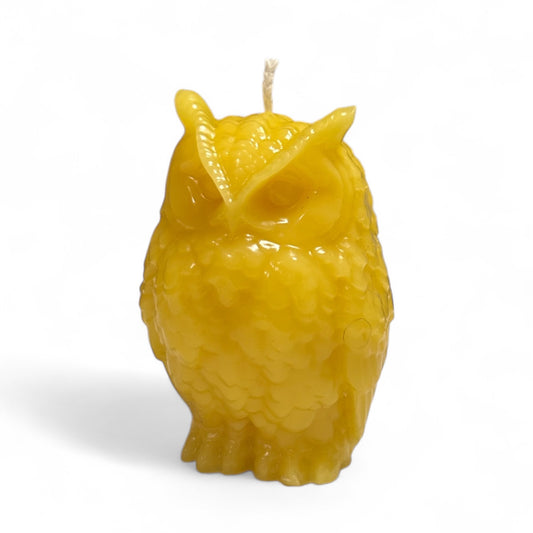 Eule als Bienenwachskerze