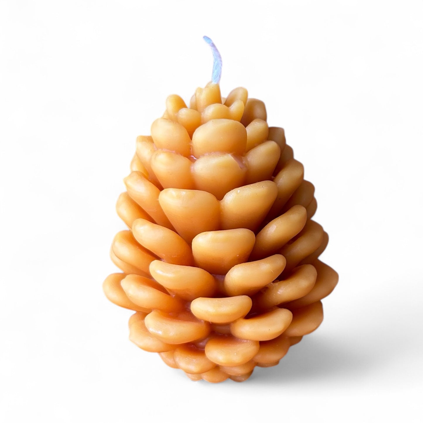 Tannenzapfen - Bienenwachskerze