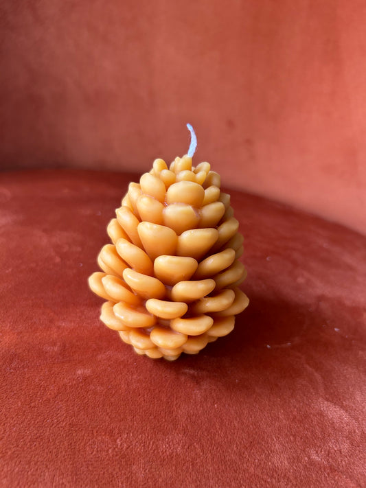 Tannenzapfen - Bienenwachskerze