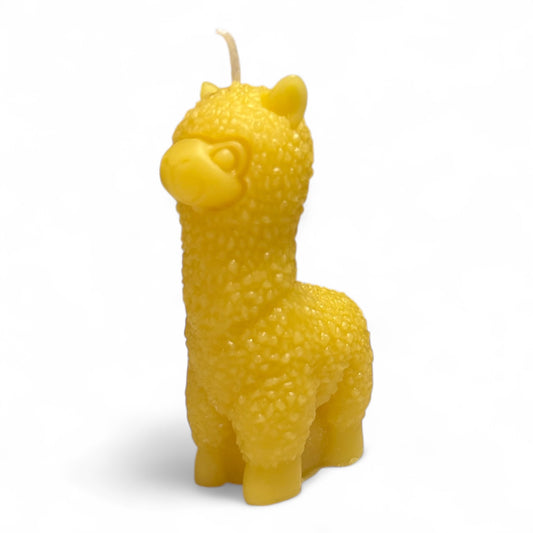 Alpaka als Bienenwachskerze
