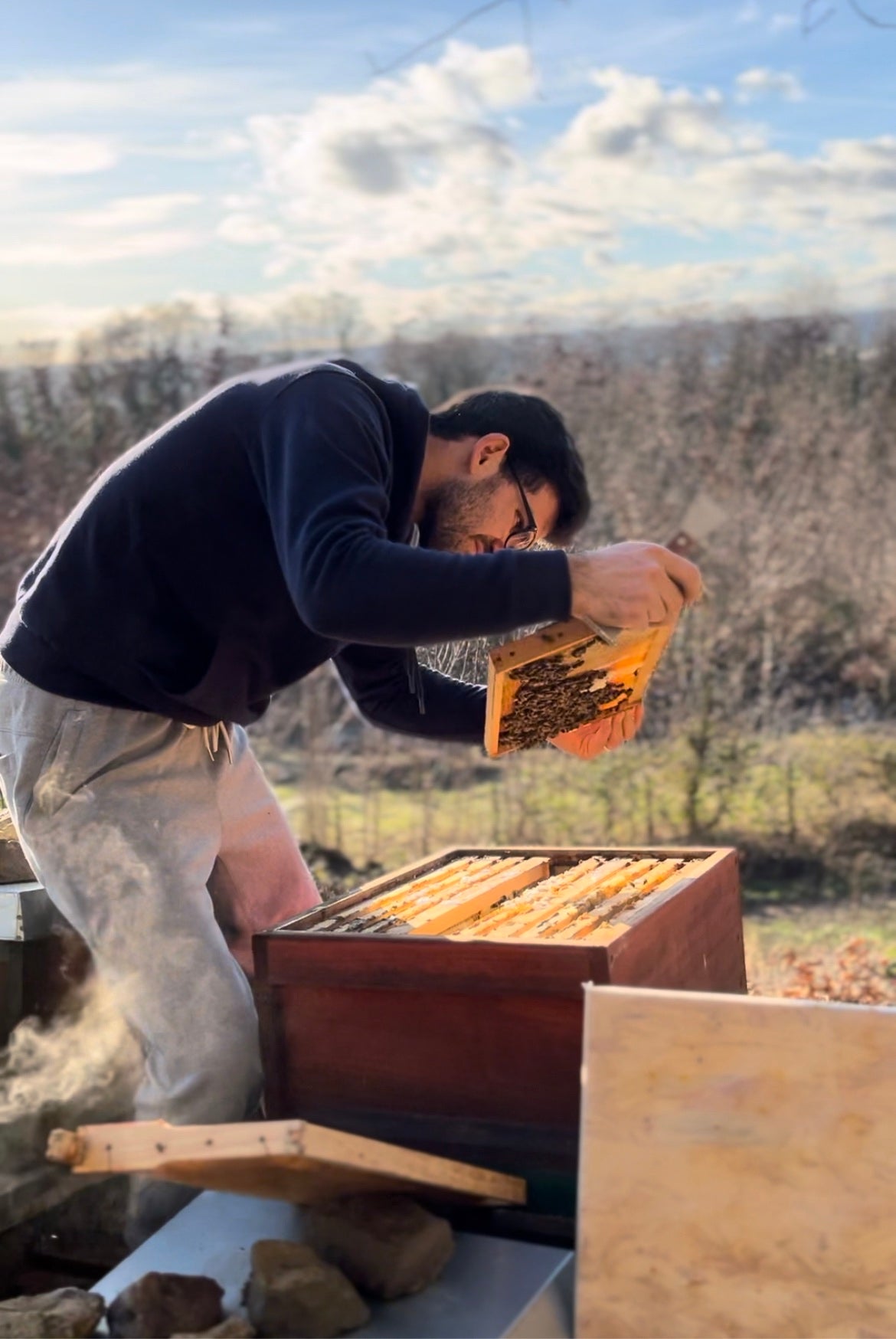 Bienen Wirtschaftsvolk Buckfast DNM Deutsch Normalmaß MAI 2025