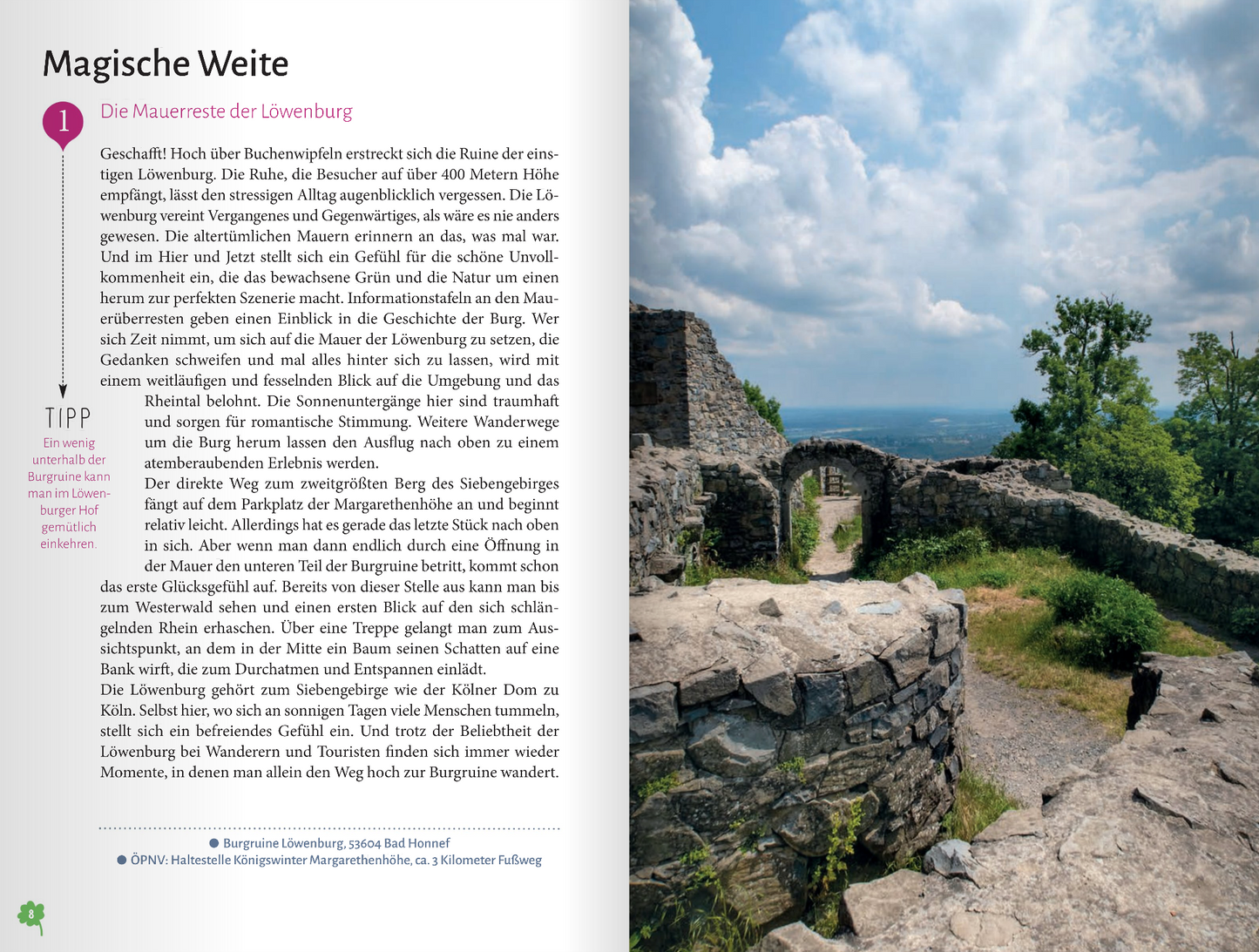 Buchtipp: Glücksorte im Siebengebirge