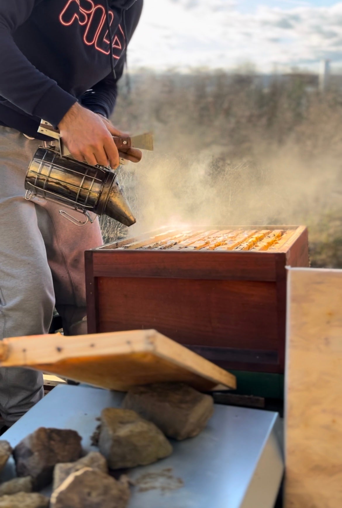 Imkerei-Imkerin_Arbeit-mit-Bienen_Smoker_regionaler-Honig_Umweltschutz_Naturschutz_Imkerei-KALEO-siebengold_Siebengebirge_300kb
